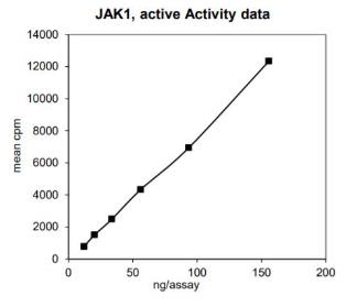 Activity Data (JAK1-115H).jpg
